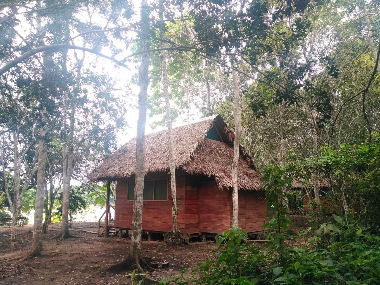 Hostel Majacho'S House Puerto Maldonado Exterior foto